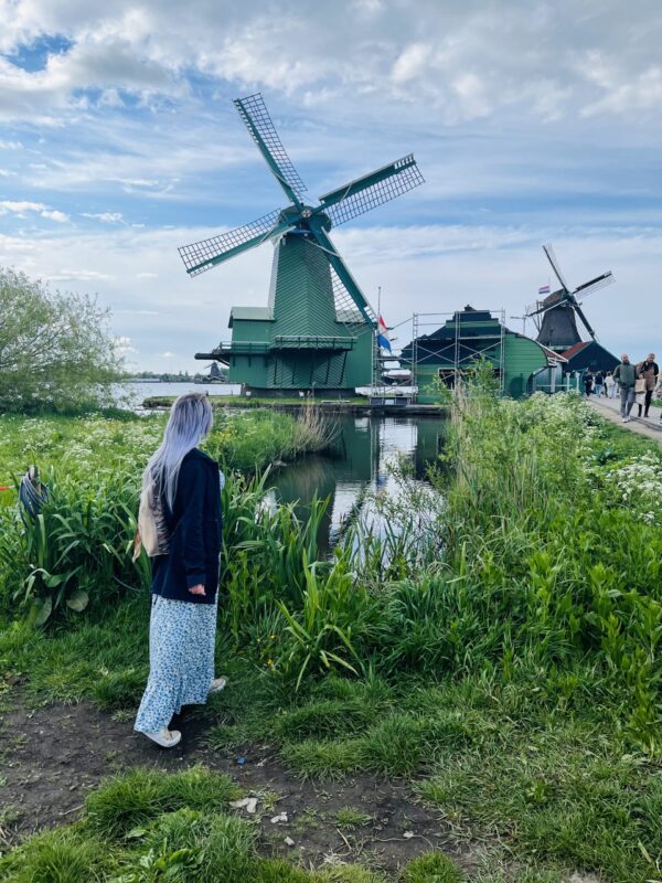 Keukenhof a skanzen Zaanse Schans - Image 4