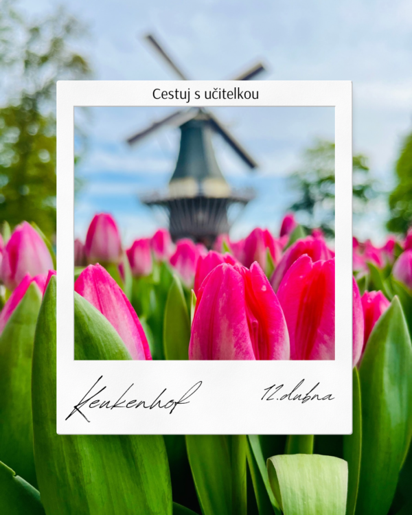 Keukenhof a skanzen Zaanse Schans